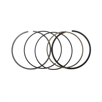 رینگ موتور 1800 پژو 405 الدورا ELDORA