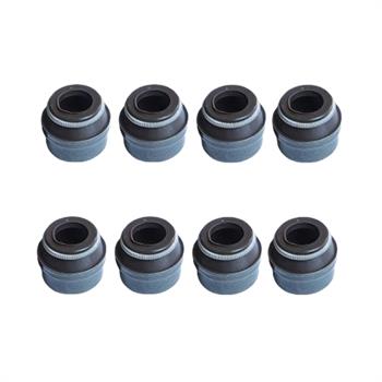 لاستیک سوپاپ پژو 206 تیپ 2 ویژن VISIUN