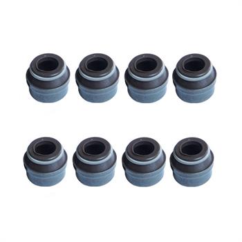 لاستیک سوپاپ پژو 405 ویژن VISIUN